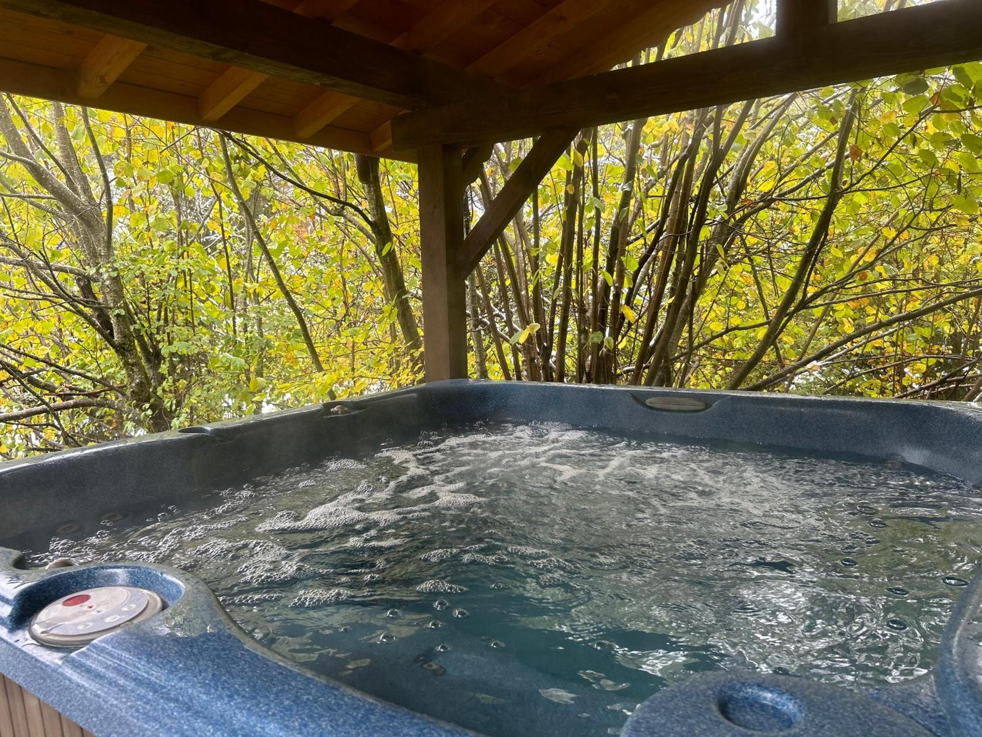 Chalet Adonis - Montriond, Morzine, Avoriaz Exteriör bild